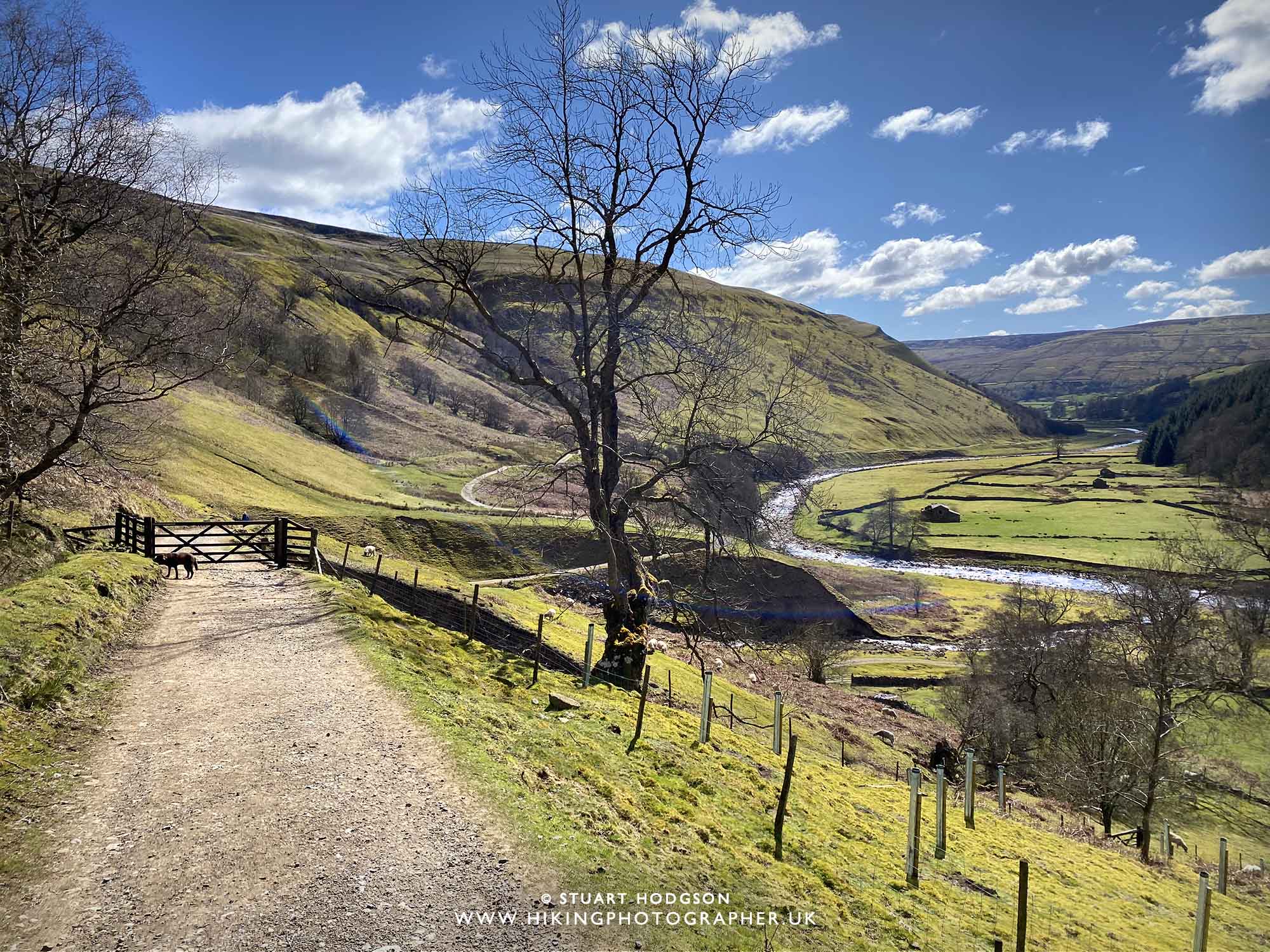 Keld muker walk circular river swaledale yorkshire dales wildflower meadow