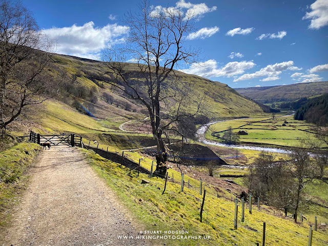 Keld muker walk circular river swaledale yorkshire dales wildflower meadow