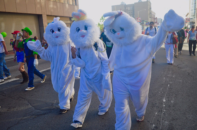 Bay to Breakers in San Francisco rabbits Bay to Breakers San Francisco