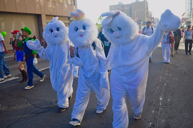 rabbits Bay to Breakers San Francisco