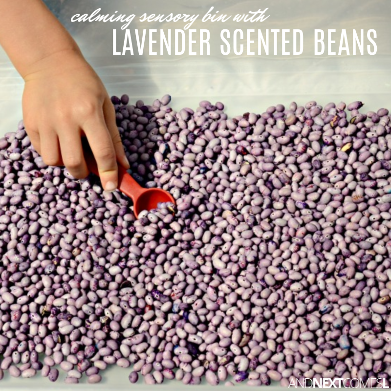 Lavender Scented Beans {Calming Sensory Play} And Next Comes L