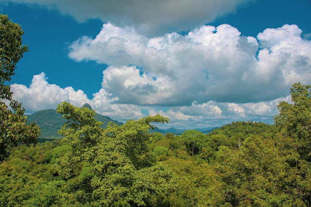 සියඹලාණ්ඩුවේ හරිත යාය දකිමුද 🍃🎋🌱 ☘️🧗🏾‍♂️🏔 (Siyabalanduwa) - Your Choice Way