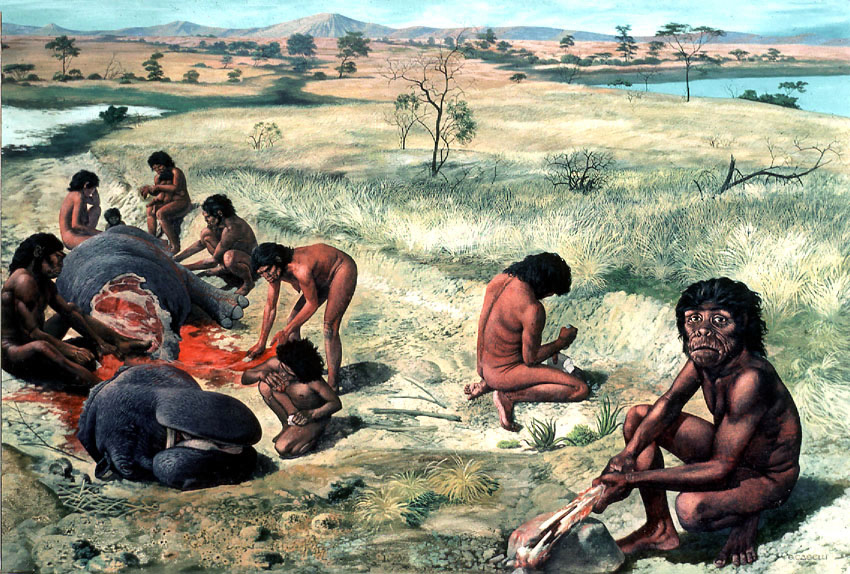 Pictures On Prehistory Times High Resolution Pictures