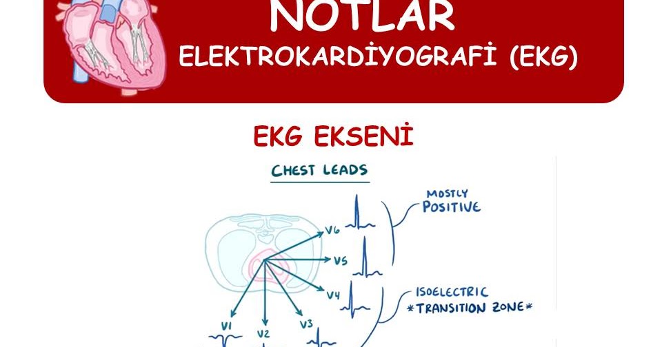 Ekg Ders 5 Ekg Ekseni