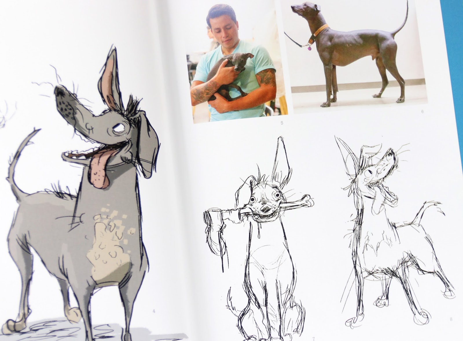 Dan the Pixar Fan The Art of Coco Book Review