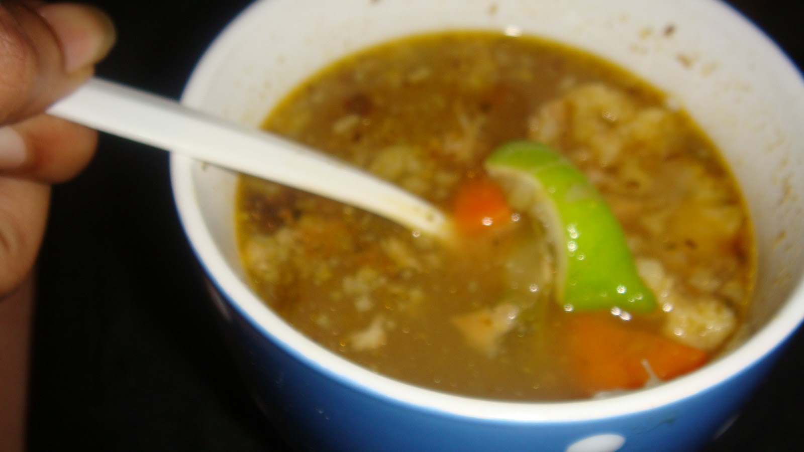 TazyMia Leftover (Rabbit) Roast Soup