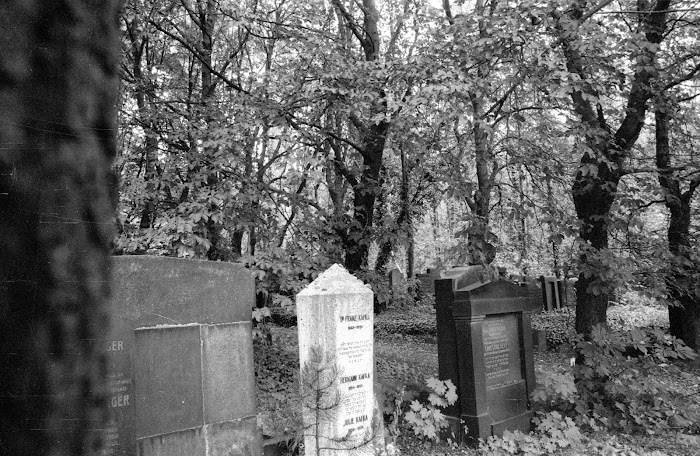 Prague, Josefov, cimetière juif, Starý židovský hřbitov, Kafka, © L. Gigout, 1990