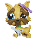 Littlest Pet Shop Pet Pawsabilities Brussels Griffon Sam (#3969) Pet