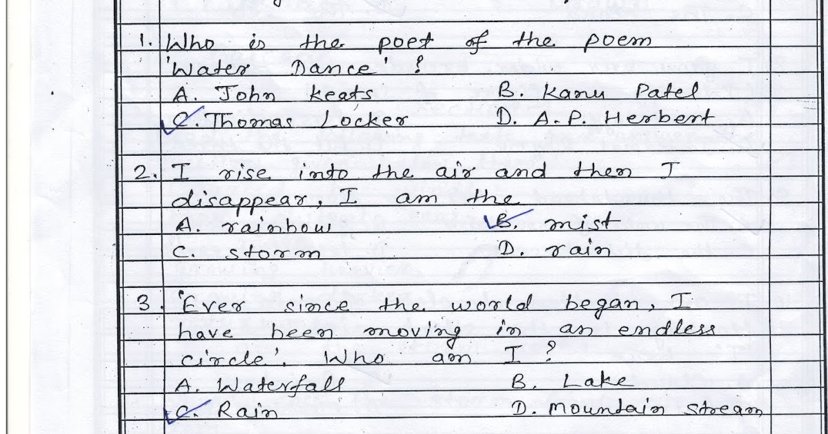 8th standard essay 2 question paper english image