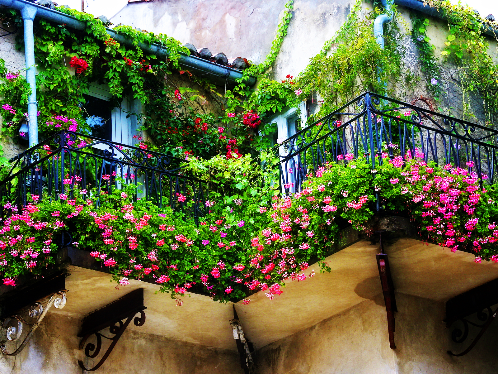 Lush Gardens And Balconies: The French Approach To Indoor Outdoor Living