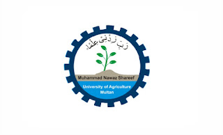 MNS University Of Agriculture Research Jobs In Multan 2024