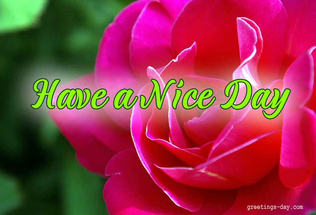 Have a nice day надпись. открытка have a good day. открытка have a nice day. Wish you a good day. открытка have a nice day.