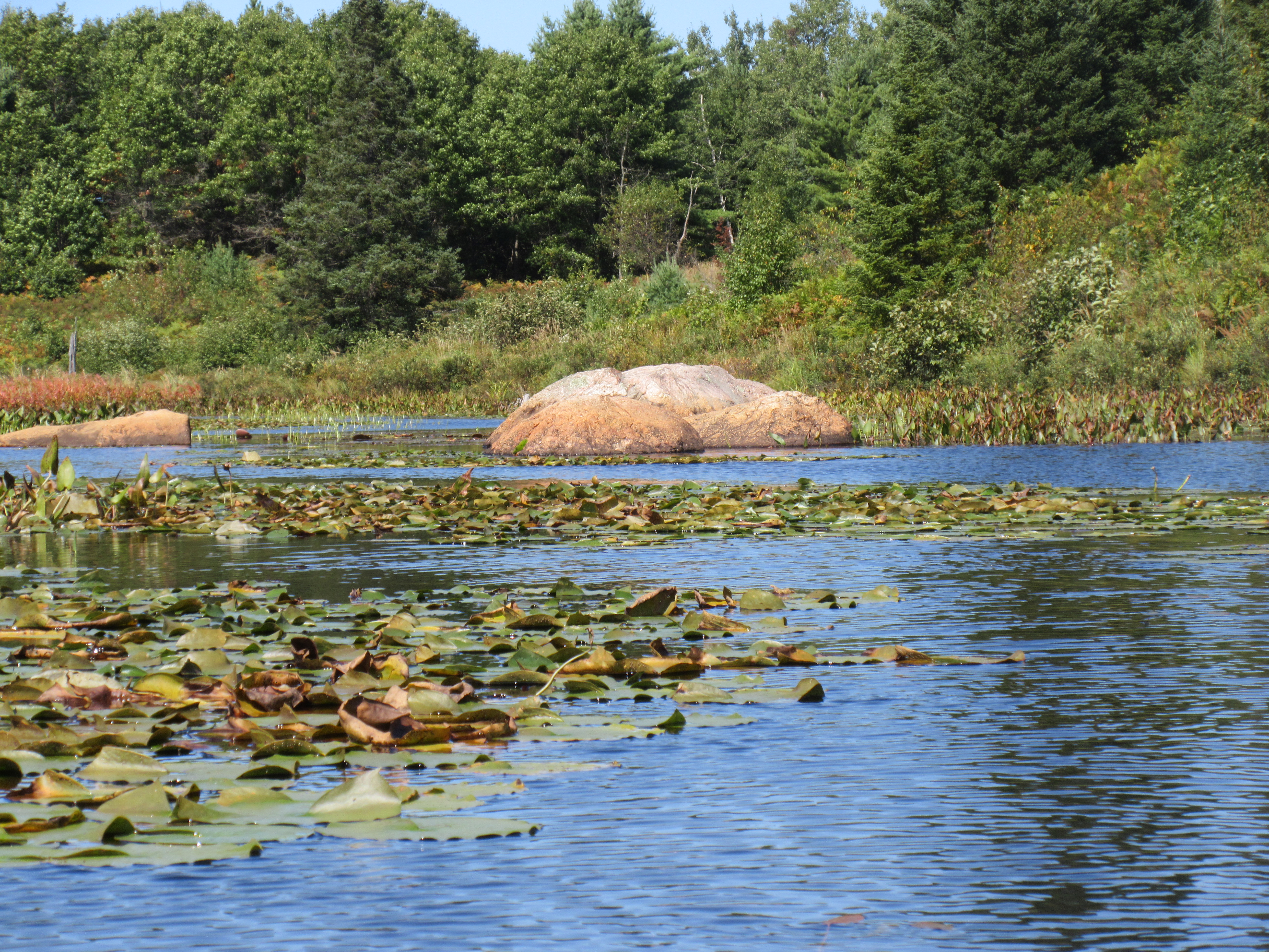 Dave's Yak Tales Lake Tomahawk, Saturday