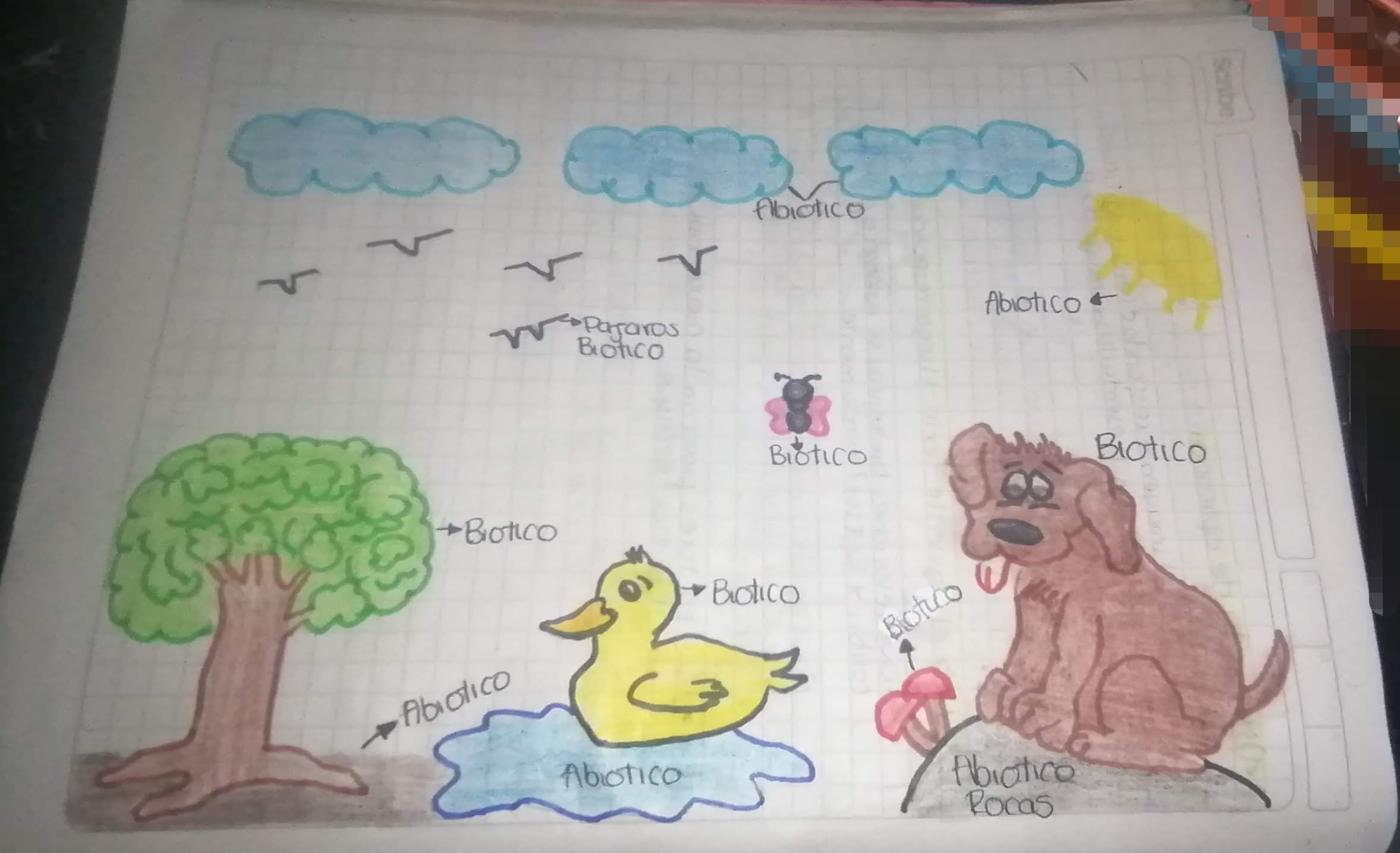 Dibujo de su entorno con factores bioticos y abioticos Dibujo de su entorno con factores bioticos y abioticos