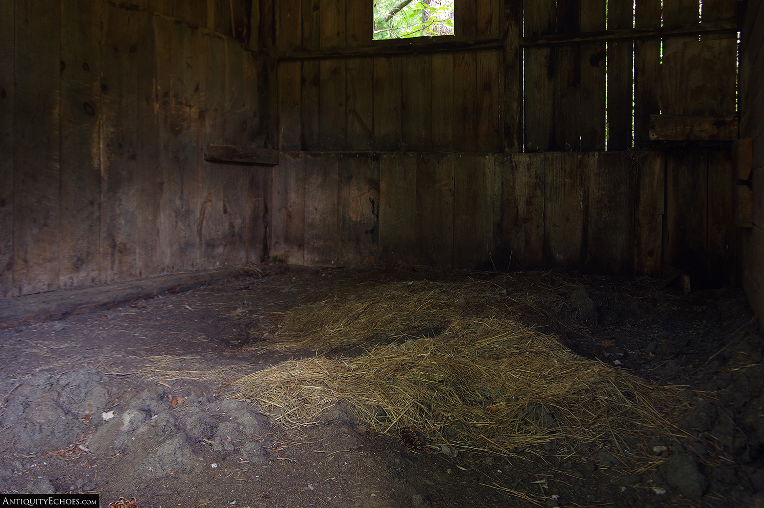 Frontier Town - Hay Rots on a Stall Floor