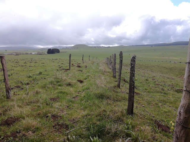 2019 - [CR] Le Tour des Vaches Rouges 27 et 28 mai 2019. IMG_20190528_141910