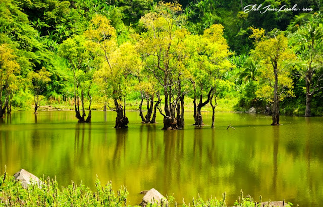 En route Twin Lakes of Balinsasayao an Danao