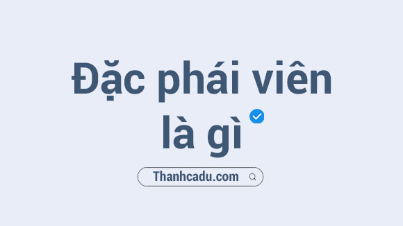 dac phai vien la gi,dac phai vien cua thu tuong la gi,dac phai vien cua tong thong la gi,dac phai vien tong thong la gi,dac phai vien ngoai giao cong chung la gi,dac phai vien lien hop quoc,bts ac phai vien,bts ac phai vien cua tong thong