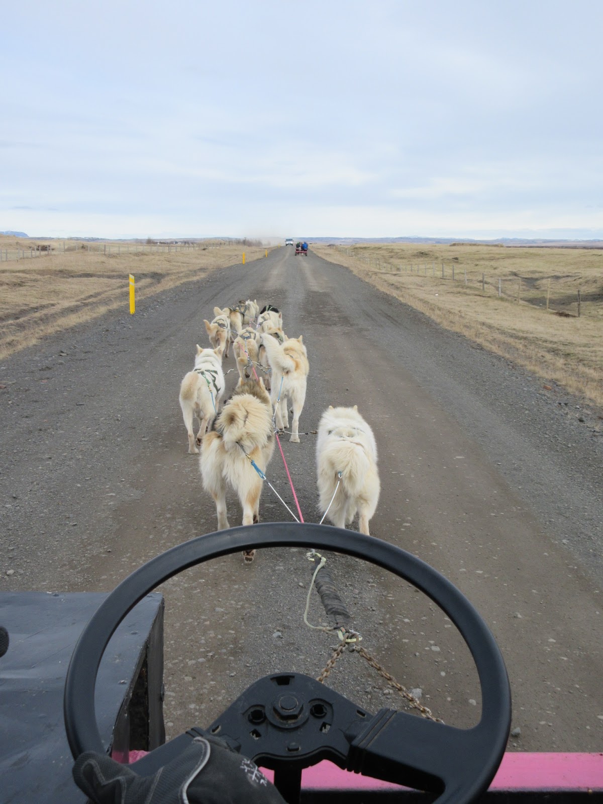 Iceland Pylsuhusid Hot Dog House