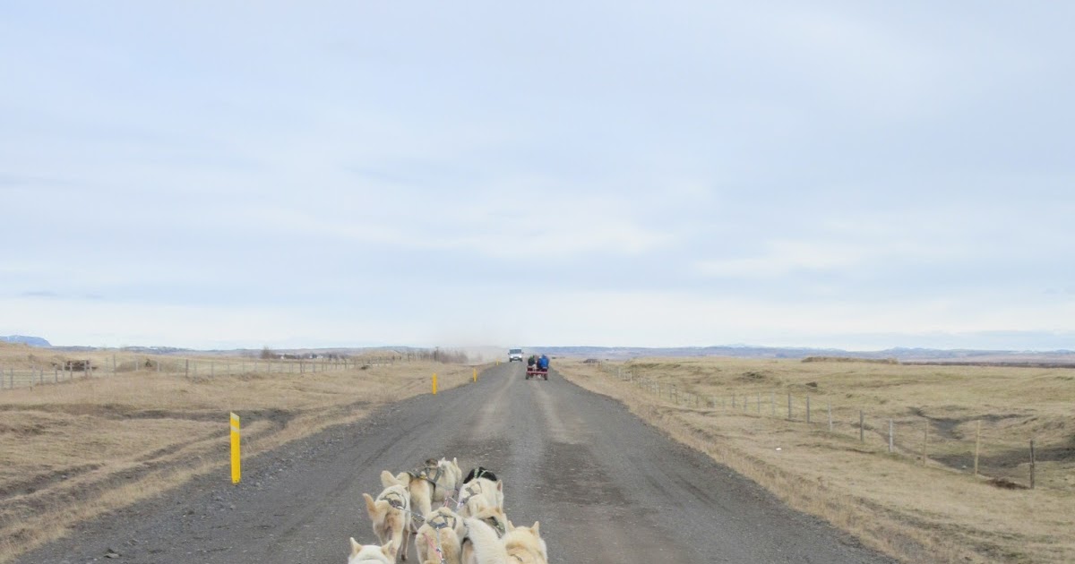 Iceland Pylsuhusid Hot Dog House