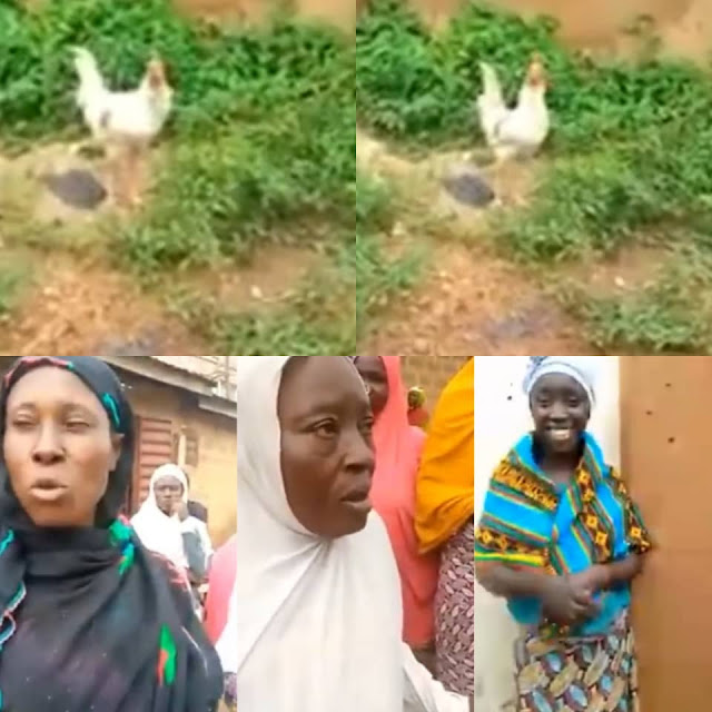 Nigerians reacts as Residents Gathered after hearing a Chicken shouting "God have Mercy" (Video)
