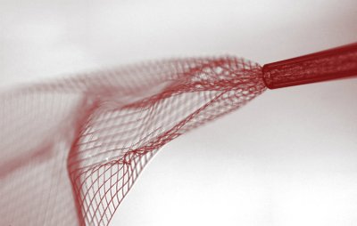 electronic-mesh-that-integrates-brains.j