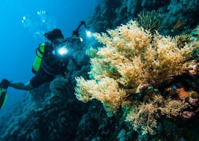 Taman Laut Taka Bonerate