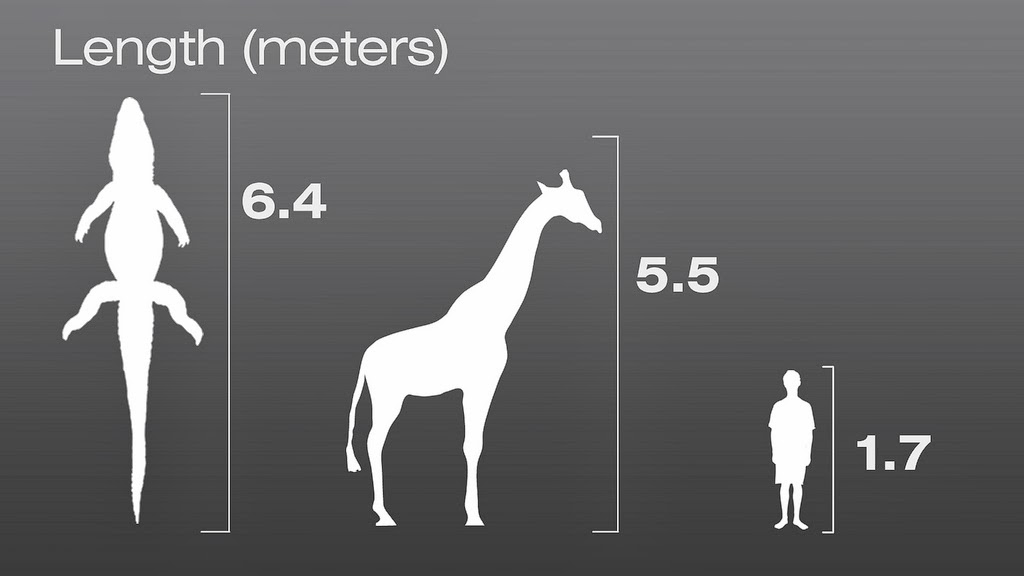 Метры по сравнению с человеком. 5 Метров в сравнении с человеком. 6 Метров пос ранению с человеком. 5 Метров по сравнению с человеком. 4.5 Метра сравнение с человеком.