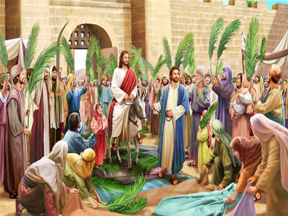 My Reflections Reflection For Sunday March 28 Palm Sunday Of The