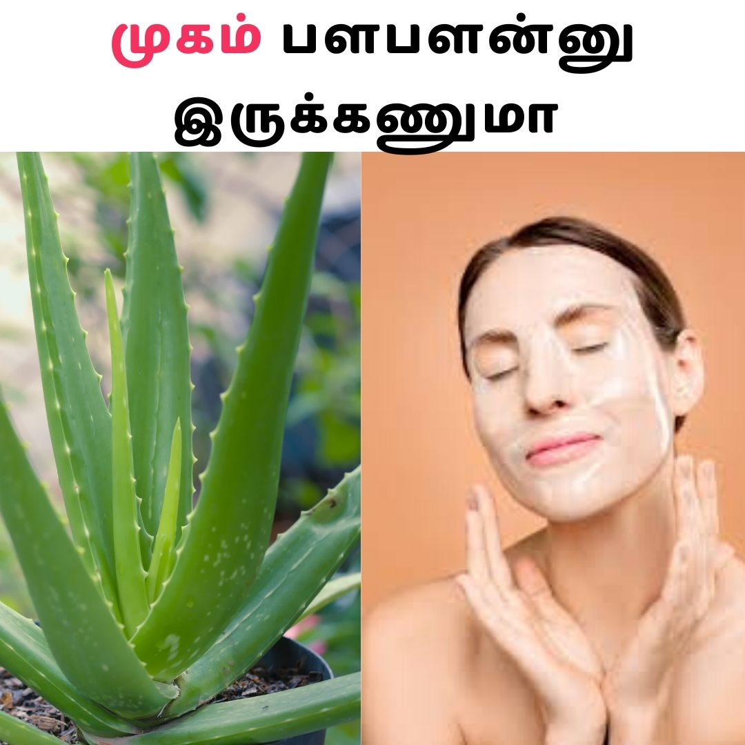 சருமத்திற்கு கற்றாழை Benefits of Aloe Vera for Face and Skin in tamil