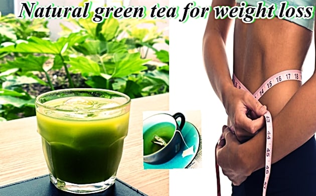 healthy green tea the best benefits for weight loss