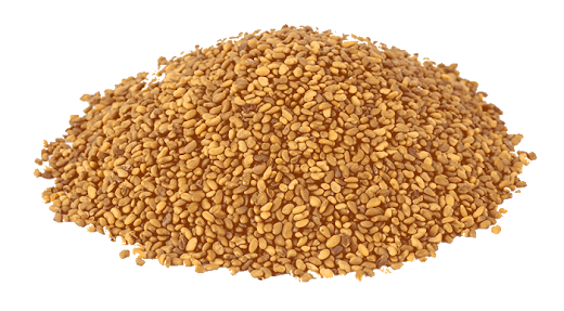 क्या प्रेगनेंसी में तिल खाने से गर्भपात हो सकता है क्या प्रेगनेंसी में तिल खाने से गर्भपात हो सकता है