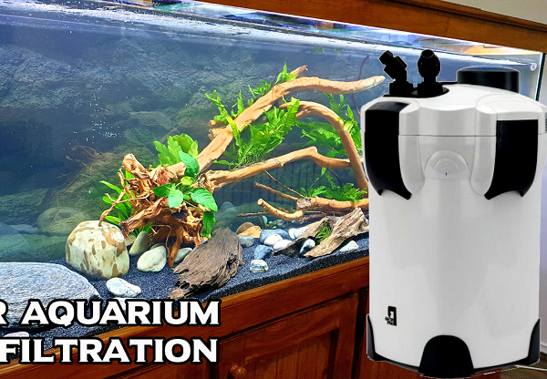 best aquarium filter
