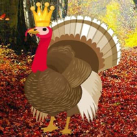 G2R Seeking Turkey Family