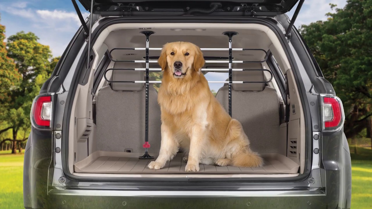 Car Safety Tips How to Keep Your Dog Safe While Driving Doglopedix