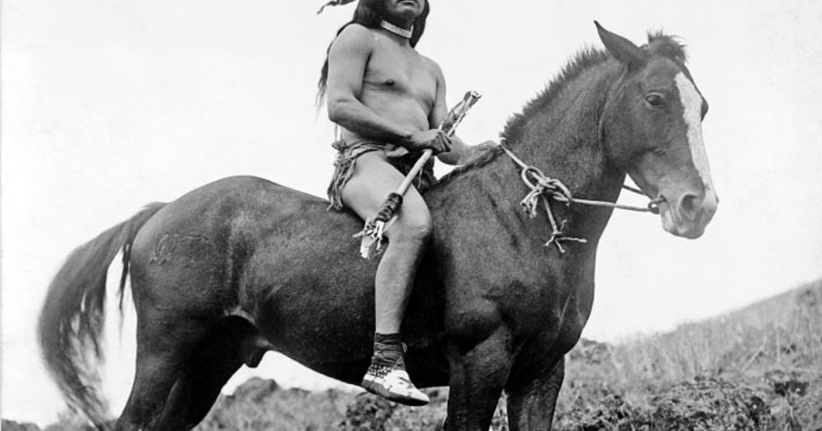 antrophistoria La reintroducción del caballo en América con la llegada