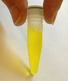 RIBOFLAVINA%2BEM%2BSOLU%2525C3%252587%2525C3%252583O.jpg