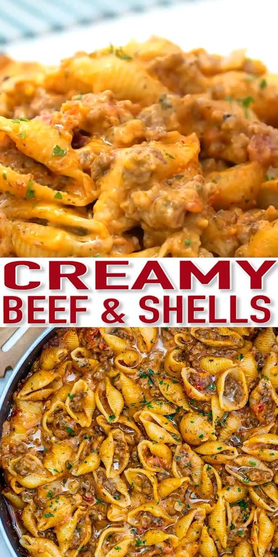 Creamy Beef and Shells Amazing Recipes