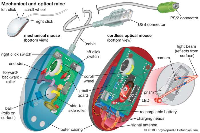 Parts of Mouse