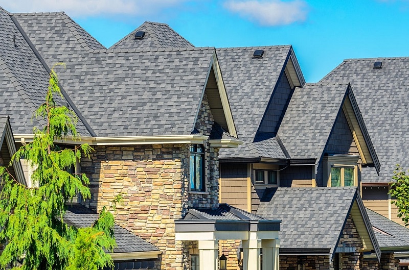 Convincing Reasons That Vinyl Roof is Good for Your Buildings Lovely