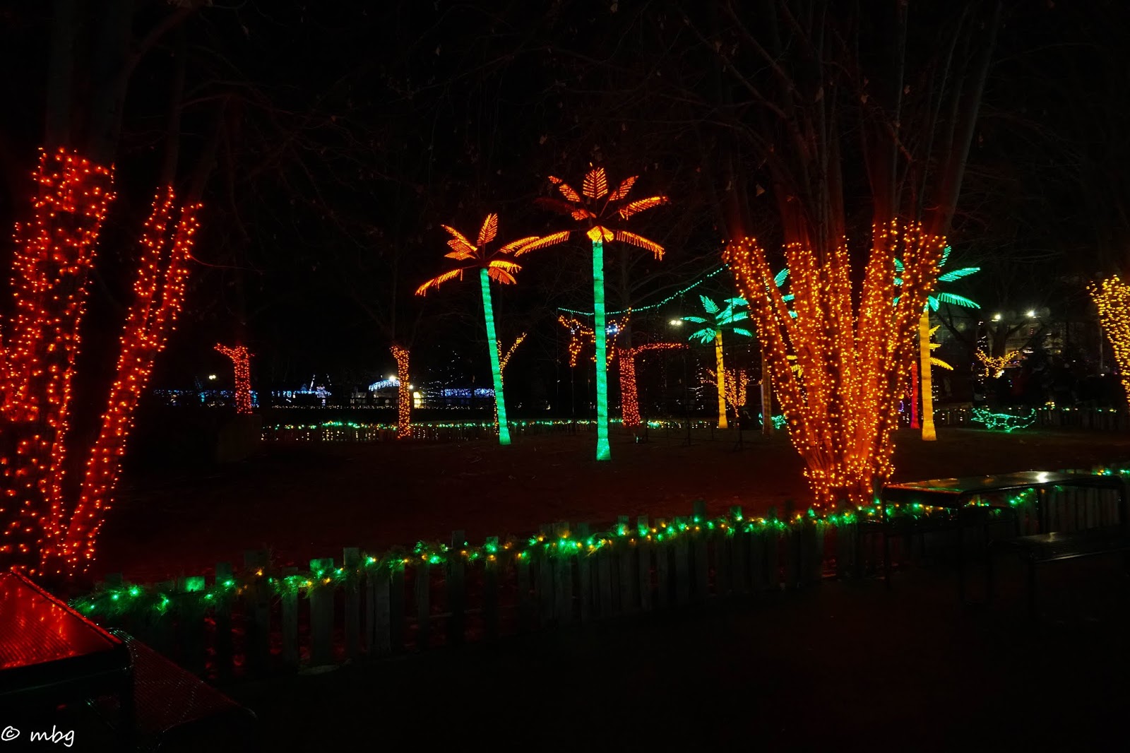 Explore St Louis Visit Missouri Review of Zoo Lights