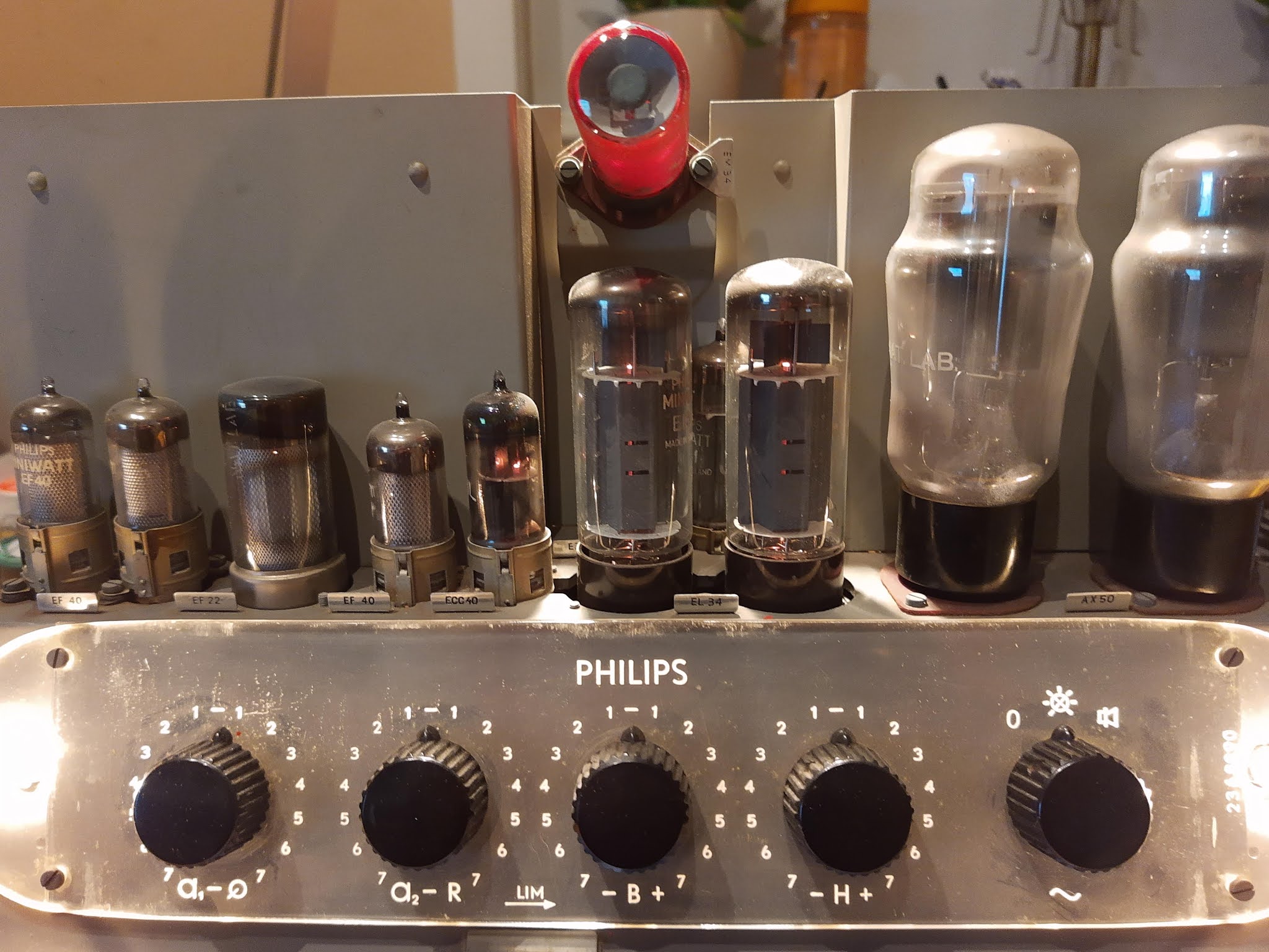 DIYaudio Philips EL6420 tube amplifier