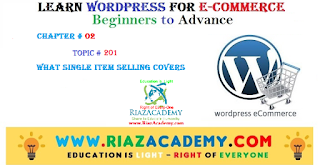 20: What Single Item Selling Covers