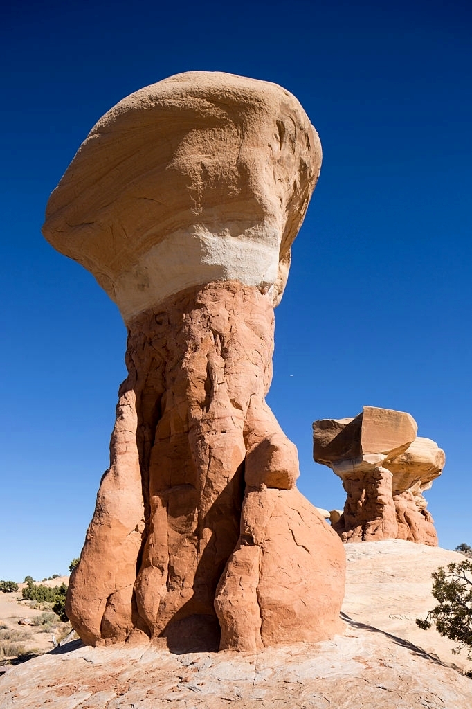 WHAT IS MUSHROOM ROCK Most Wonderful and Unique Mushroom Rocks around