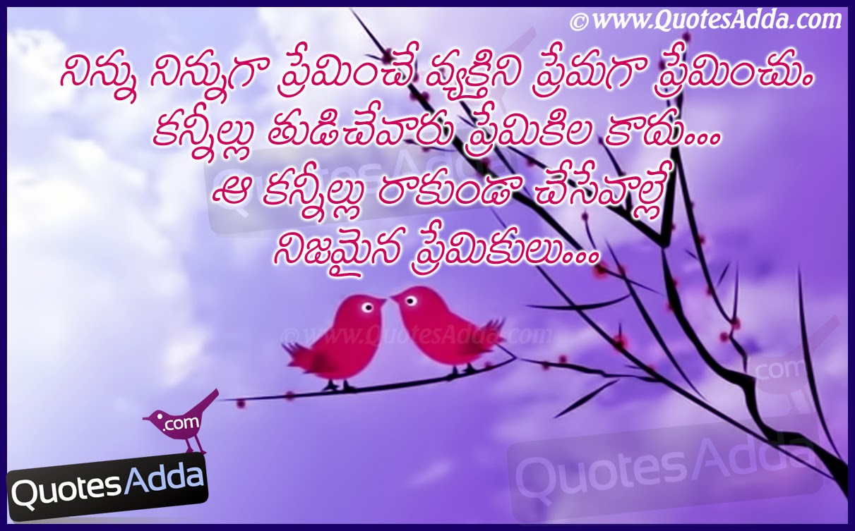 Love birds images with quotes in telugu photo 1