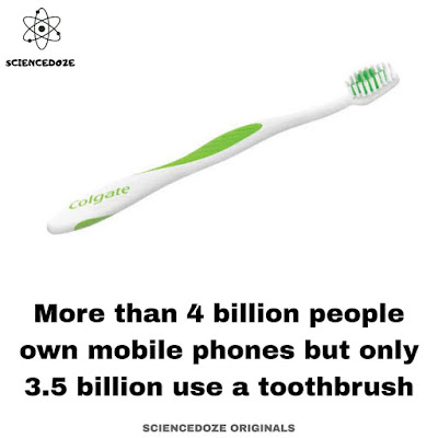 Toothbrush facts