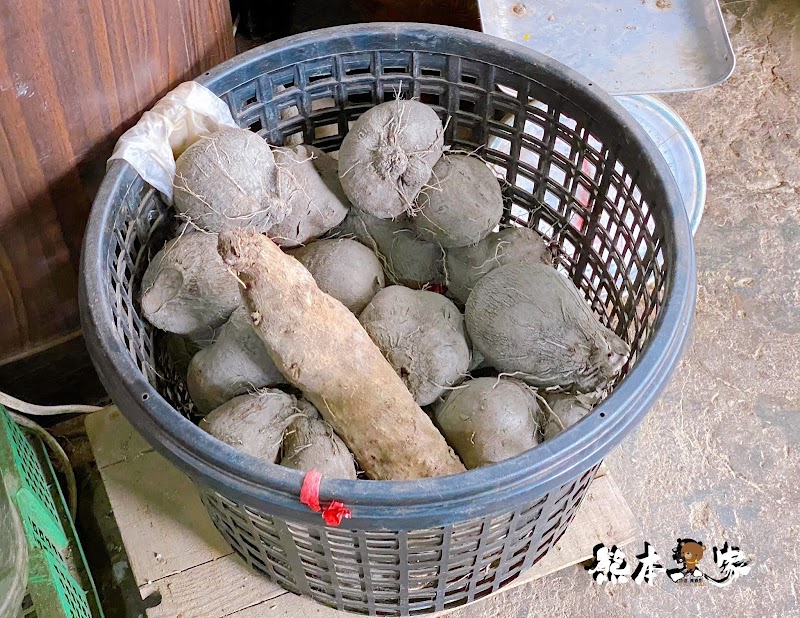 玉瀧谷野菜料理|陽明山竹子湖野菜餐廳~隱藏版饕客美食野味