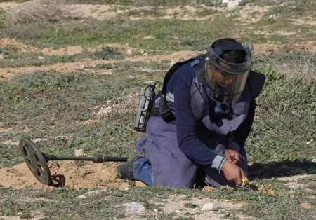 PENGHILANG RANJAU DARAT Pekerjaan Paling Berbahaya di Dunia