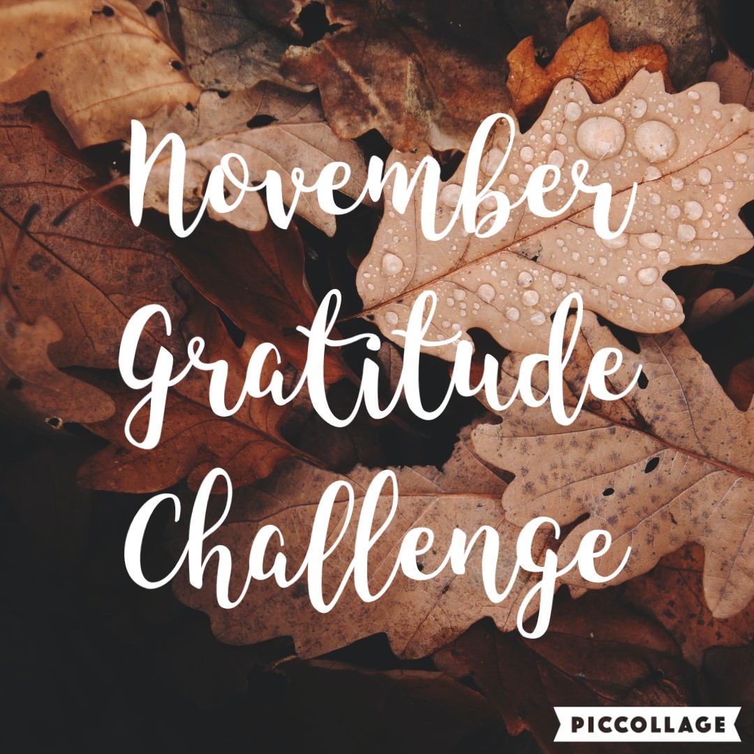 My Really, Real Reality November Gratitude Challenge