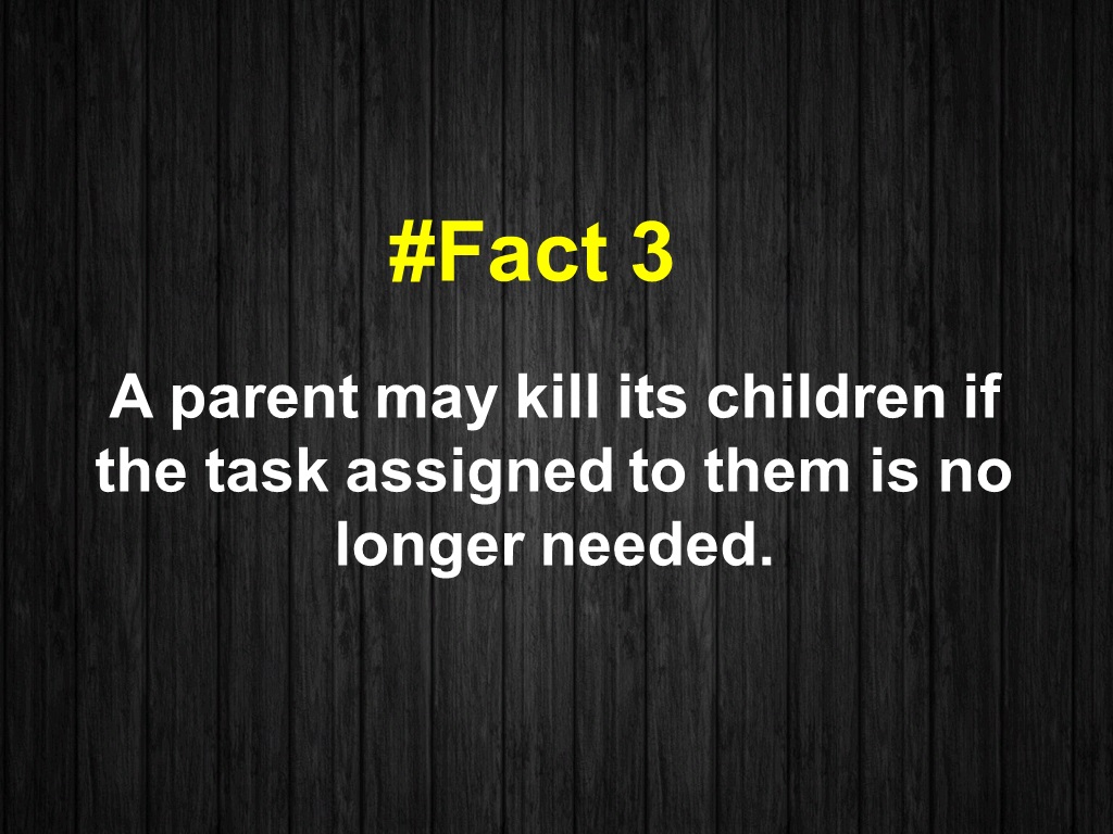 A parent may kill its children if the task assigned to them is no longer needed.